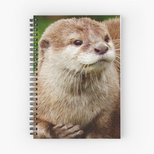 Item preview, A Delightful Otter designed and sold by Karen Thomson.