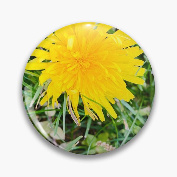 Item preview, A dandelion with grass designed and sold by Srujanagade.