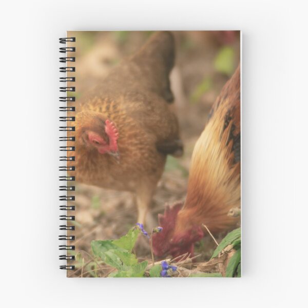Item preview, Chickens having a picnic  designed and sold by R-York.