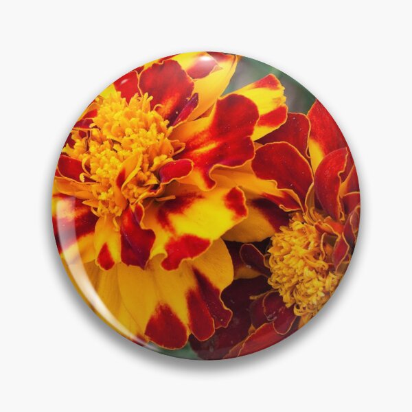 Item preview, Red and yellow mum's flowers designed and sold by Dimo Petrov.