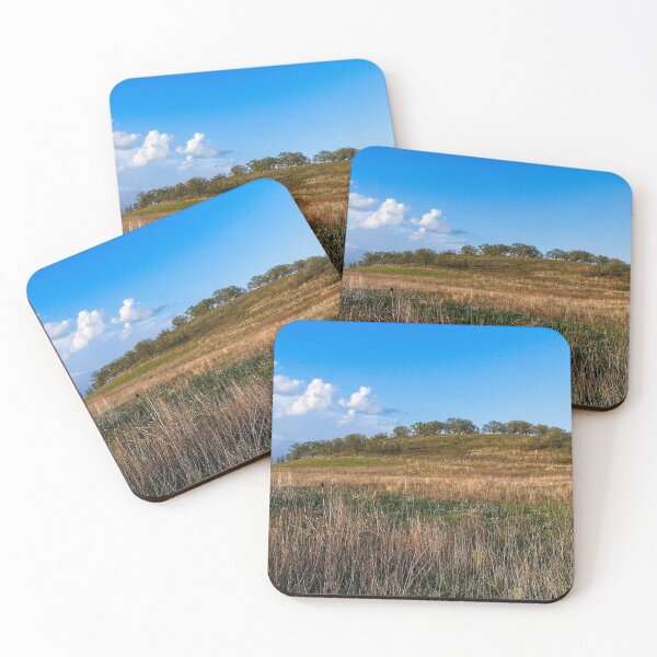 Item preview, Pheasant Branch Conservancy 1, Middleton, WI designed and sold by StevenRalserPhoto.