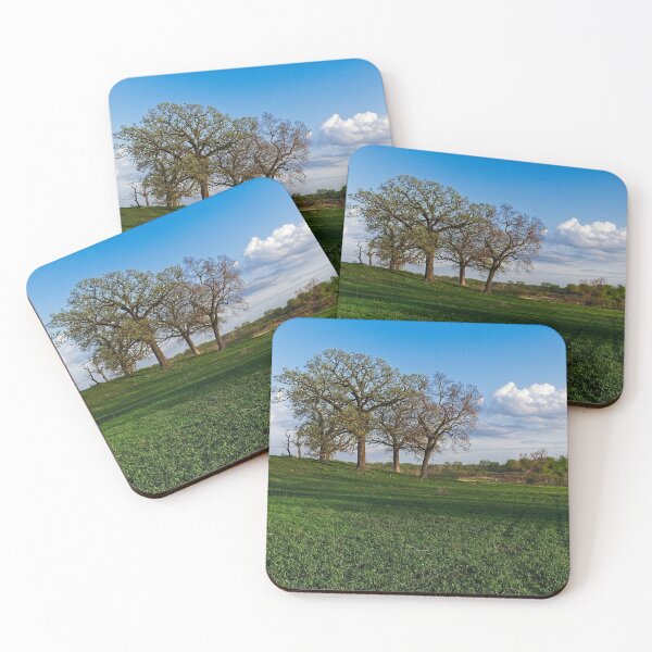 Item preview, Pheasant Branch Conservancy 2, Middleton, WI designed and sold by StevenRalserPhoto.