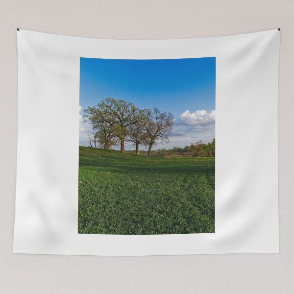 Item preview, Pheasant Branch Conservancy 2, Middleton, WI designed and sold by StevenRalserPhoto.