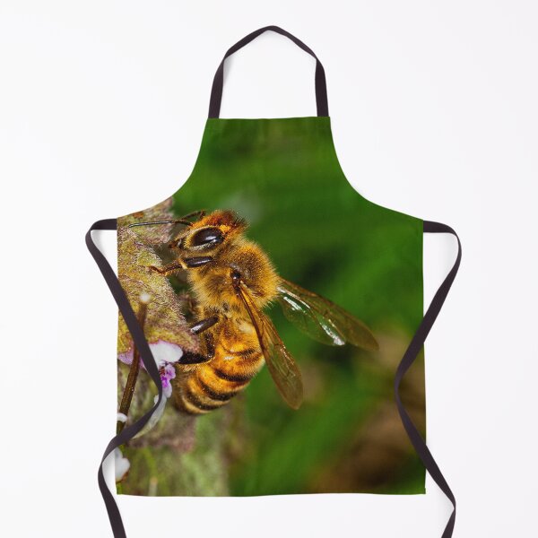 Item preview, Bee designed and sold by Dimo Petrov.