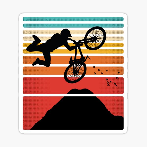 88 Vintage BMX Freestyle 2Hip King of Vert Ramp Sticker Vision Street Wear 9"X5" 