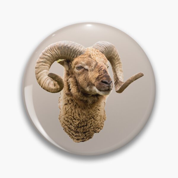 Item preview, Sheep with Horns Head Shot designed and sold by Jane Stanley Photography.