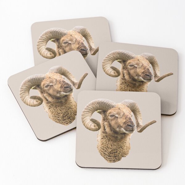 Item preview, Sheep with Horns Head Shot designed and sold by Jane Stanley Photography.
