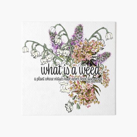 What is a weed… Art Board Print