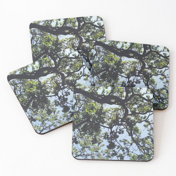 Item preview, Oak and Sky designed and sold by homotropic.