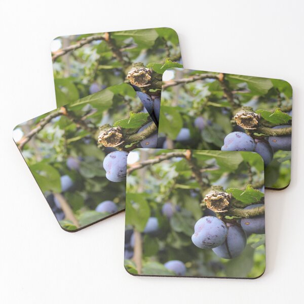 Item preview, Ripe blue fresh plum fruits on a branch designed and sold by Mahirov Shop.