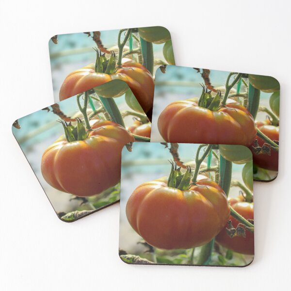 Item preview, Growing tomatoes designed and sold by Mahirov Shop.