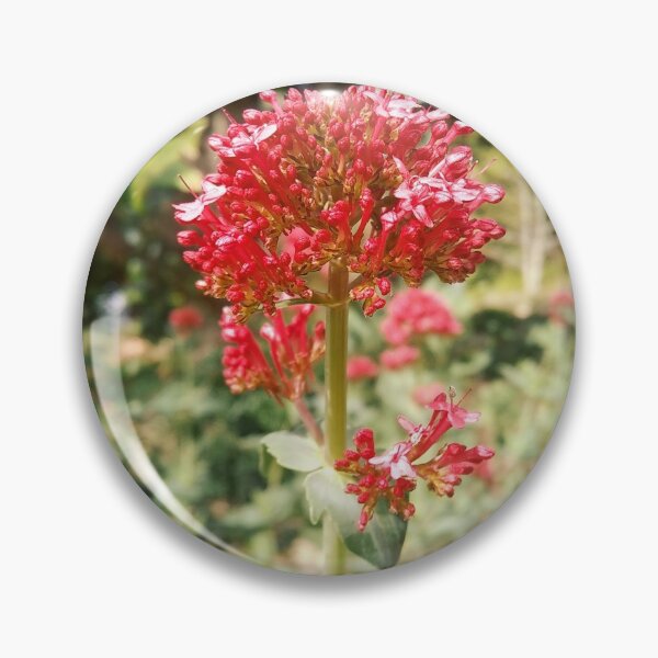 Item preview, Red Spring Flower Meadow designed and sold by homotropic.