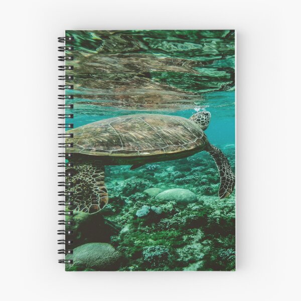 Item preview, sea ​​turtle designed and sold by VKHOUSE.
