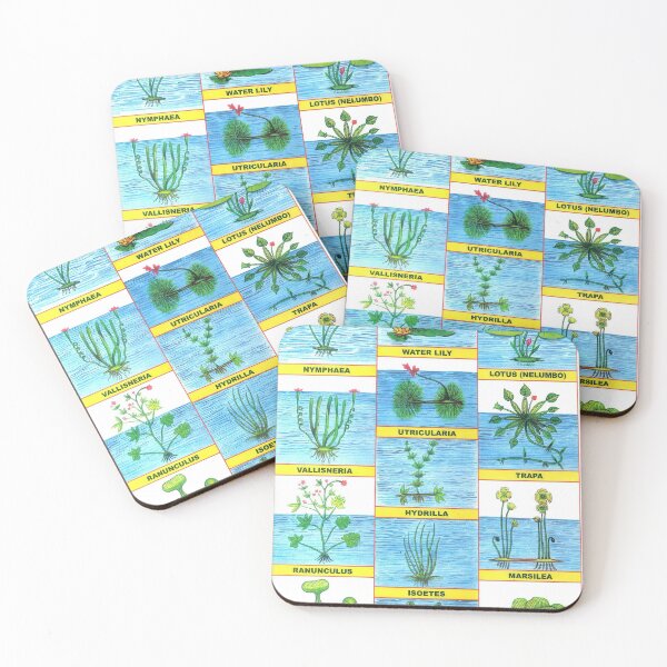 Item preview, llustrated Chart From India - WATER PLANTS Rare Vintage High Quality designed and sold by VISIBLECREATION.