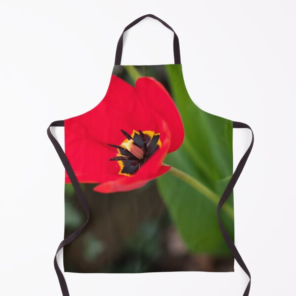 Item preview, Red Tulip designed and sold by Dimo Petrov.