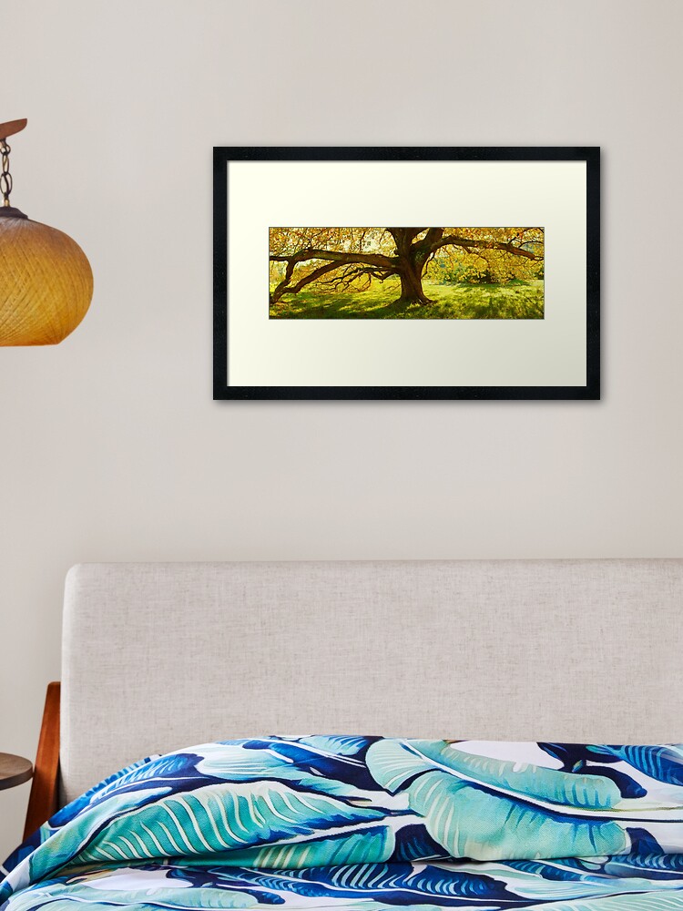 Thumbnail 2 of 7, Framed Art Print, Autumn Colours of Myrtleford, Victoria, Australia designed and sold by Chockstone.