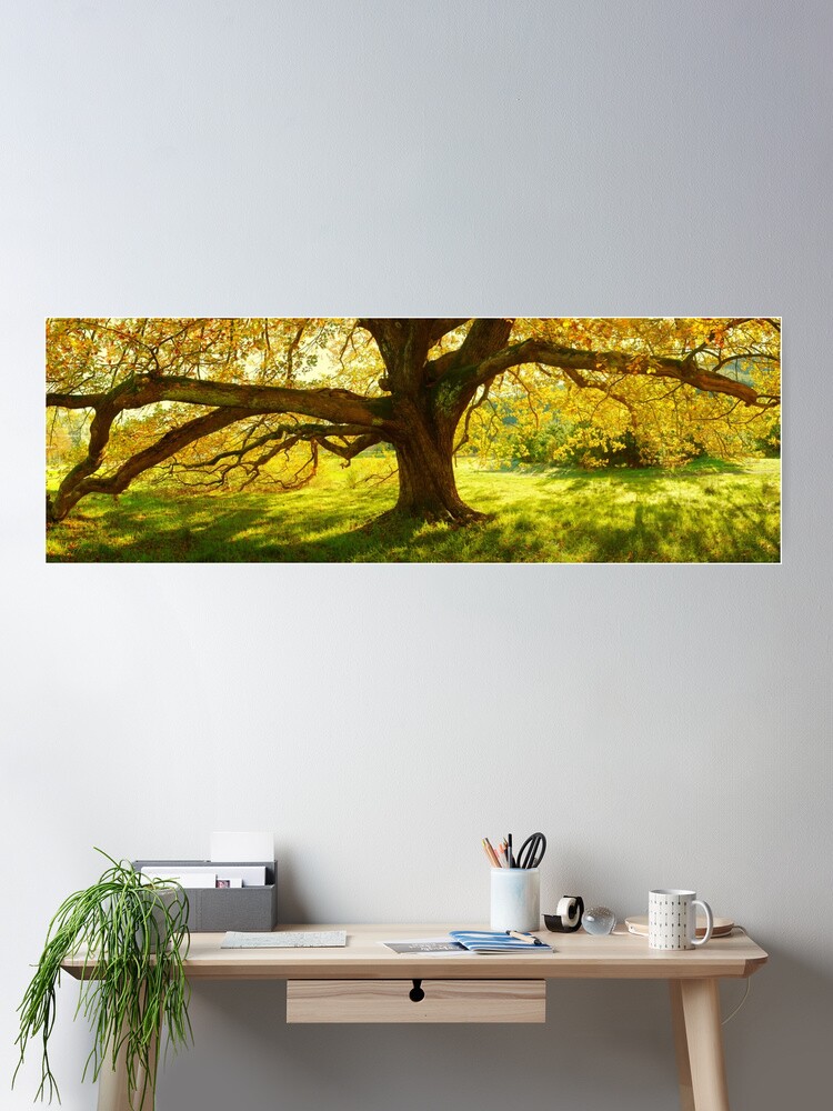 Thumbnail 2 of 3, Poster, Autumn Colours of Myrtleford, Victoria, Australia designed and sold by Chockstone.
