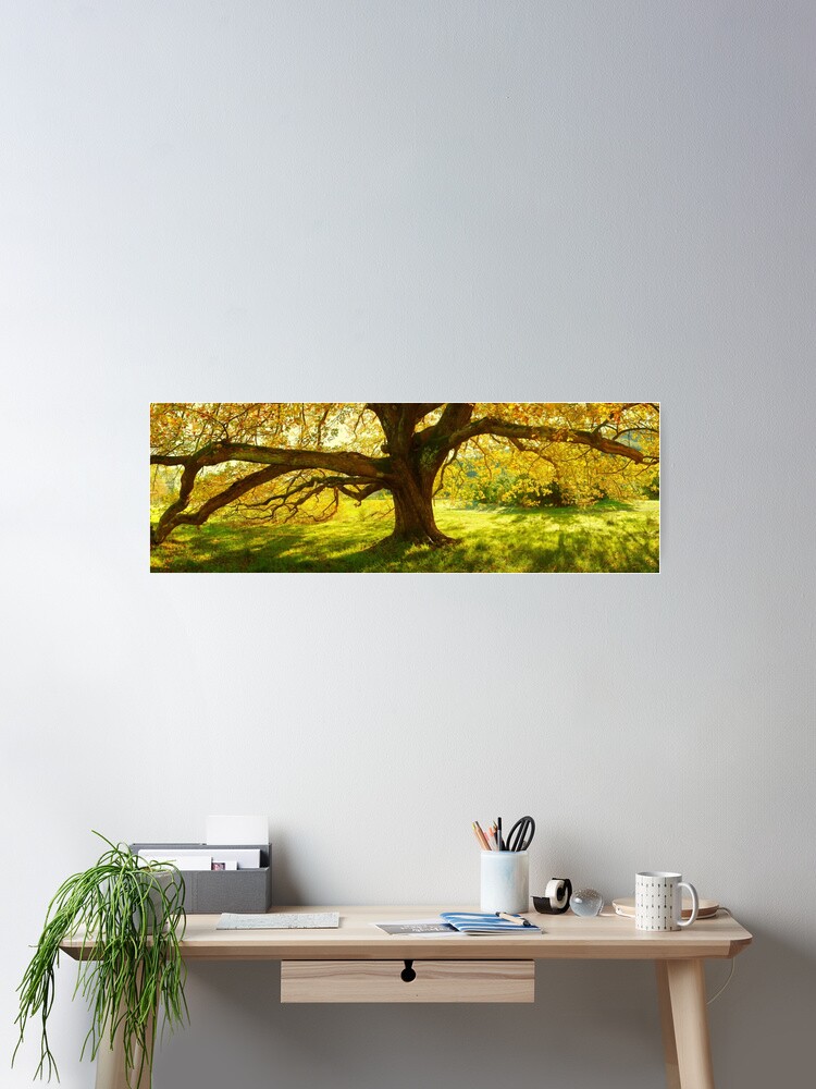 Thumbnail 2 of 3, Poster, Autumn Colours of Myrtleford, Victoria, Australia designed and sold by Chockstone.