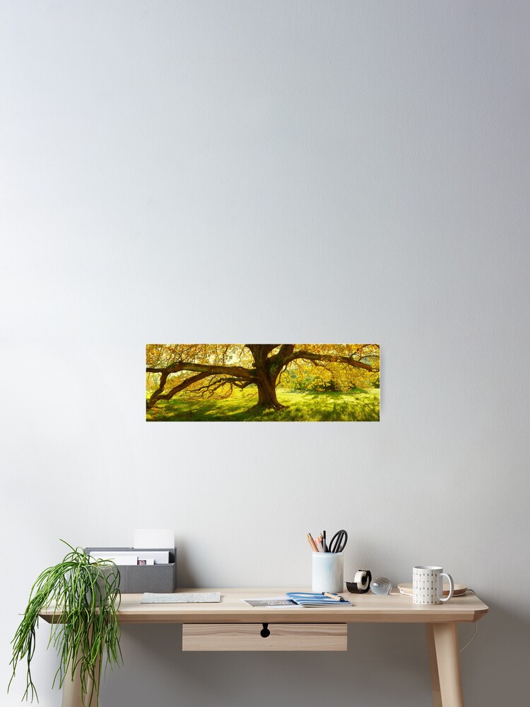 Thumbnail 2 of 3, Poster, Autumn Colours of Myrtleford, Victoria, Australia designed and sold by Chockstone.