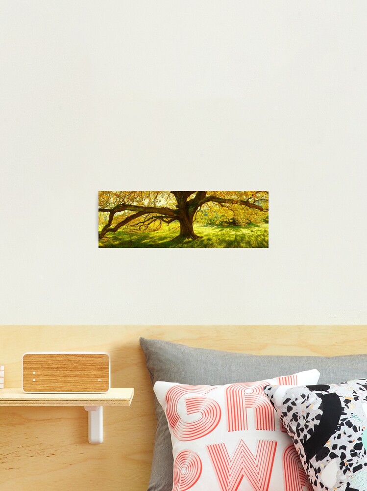 Thumbnail 2 of 3, Photographic Print, Autumn Colours of Myrtleford, Victoria, Australia designed and sold by Chockstone.