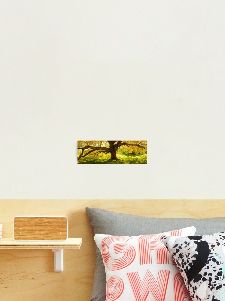 Thumbnail 2 of 3, Photographic Print, Autumn Colours of Myrtleford, Victoria, Australia designed and sold by Chockstone.