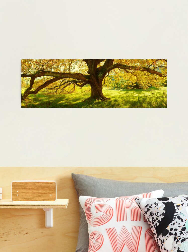 Thumbnail 2 of 3, Photographic Print, Autumn Colours of Myrtleford, Victoria, Australia designed and sold by Chockstone.