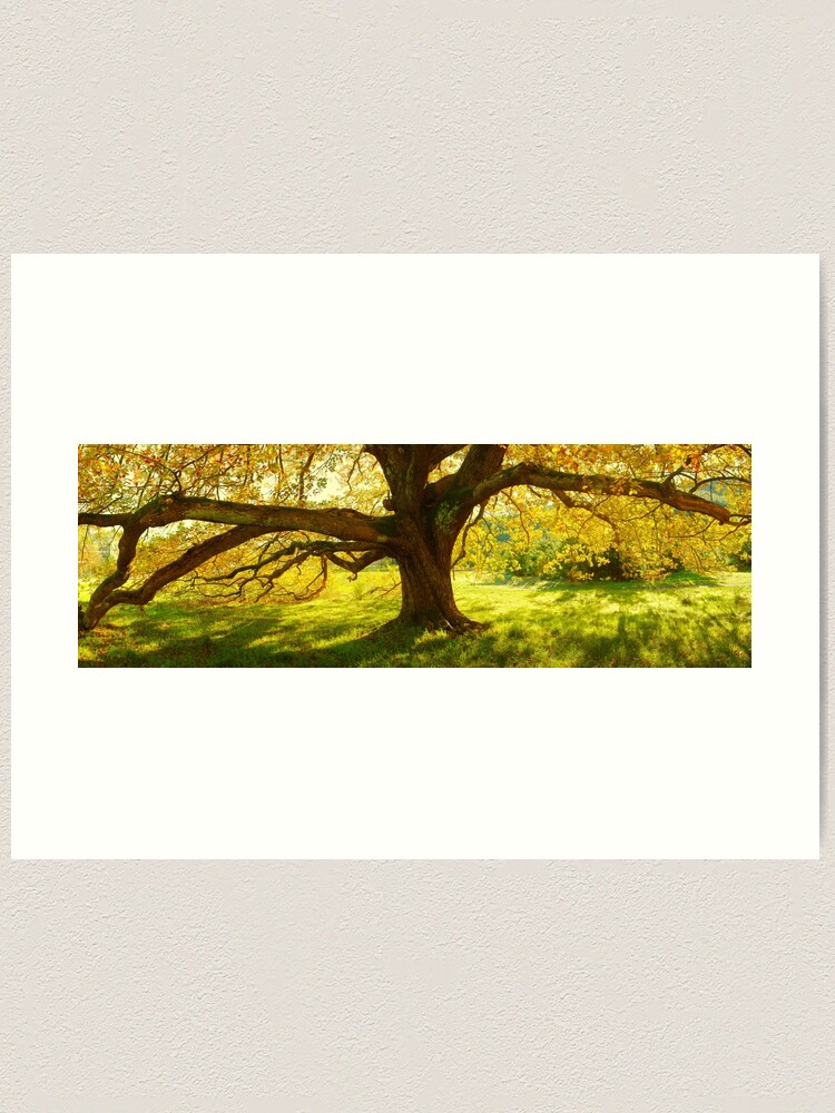 Thumbnail 1 of 3, Art Print, Autumn Colours of Myrtleford, Victoria, Australia designed and sold by Chockstone.