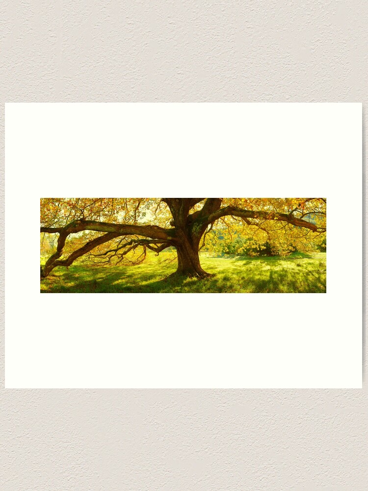 Thumbnail 1 of 3, Art Print, Autumn Colours of Myrtleford, Victoria, Australia designed and sold by Chockstone.