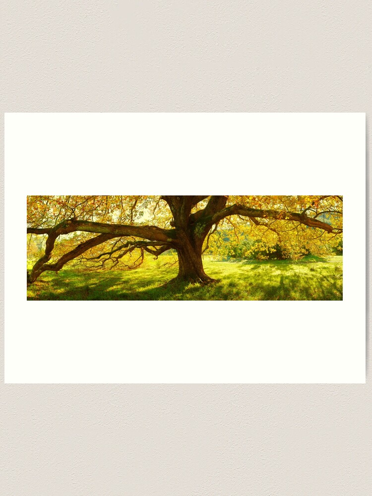 Thumbnail 1 of 3, Art Print, Autumn Colours of Myrtleford, Victoria, Australia designed and sold by Chockstone.
