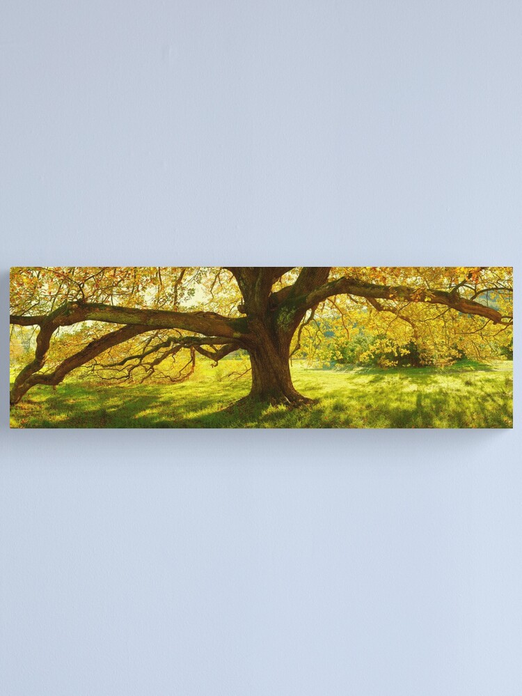 Thumbnail 1 of 3, Canvas Print, Autumn Colours of Myrtleford, Victoria, Australia designed and sold by Chockstone.