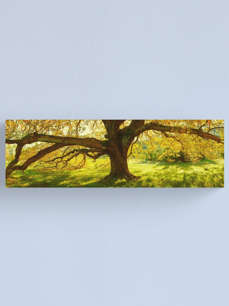 Thumbnail 1 of 3, Canvas Print, Autumn Colours of Myrtleford, Victoria, Australia designed and sold by Chockstone.