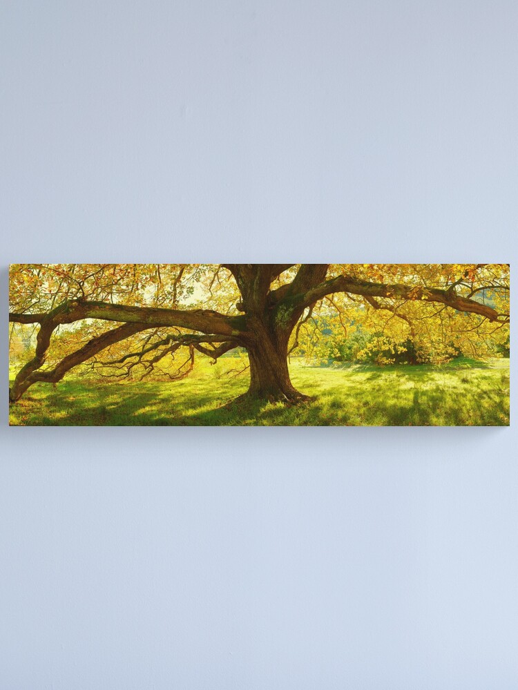 Thumbnail 1 of 3, Canvas Print, Autumn Colours of Myrtleford, Victoria, Australia designed and sold by Chockstone.