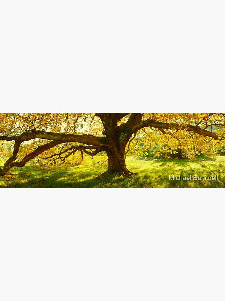 Autumn Colours of Myrtleford, Victoria, Australia by Chockstone