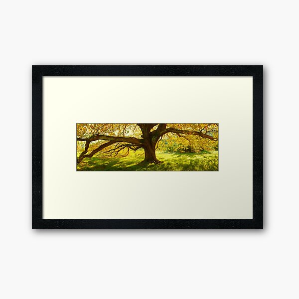 Framed Art Print