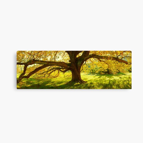 Item preview, Autumn Colours of Myrtleford, Victoria, Australia designed and sold by Michael Boniwell.