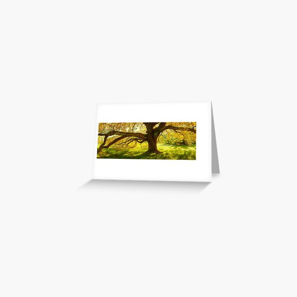 Item preview, Autumn Colours of Myrtleford, Victoria, Australia designed and sold by Michael Boniwell.