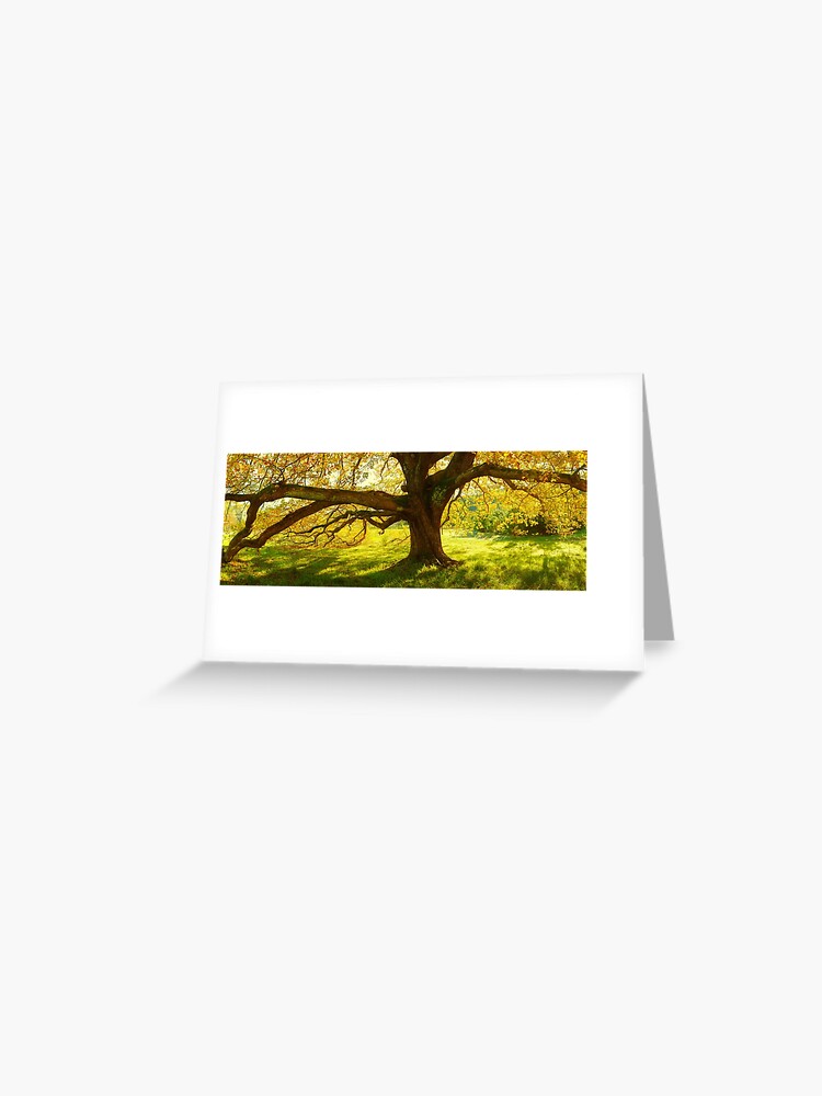 Thumbnail 1 of 2, Greeting Card, Autumn Colours of Myrtleford, Victoria, Australia designed and sold by Chockstone.