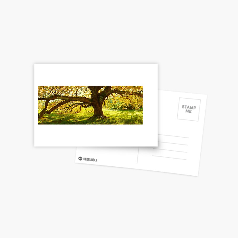 Item preview, Postcard designed and sold by Chockstone.