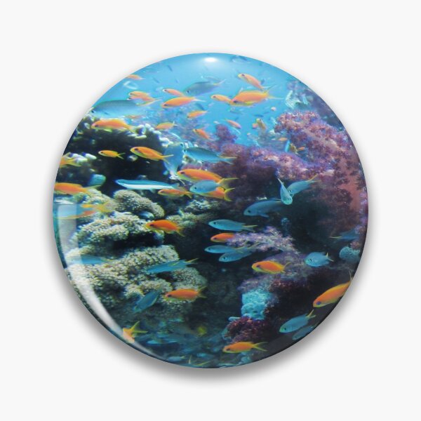 Item preview, goldfish and corals designed and sold by VKHOUSE.