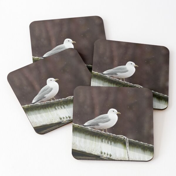 Item preview, Sea mew and the falling snow designed and sold by Jouko Lehto Photography.