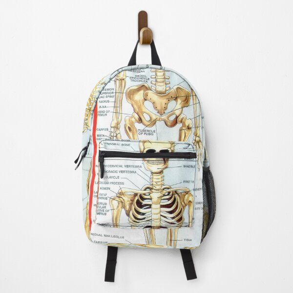 Item preview, Illustrated Chart From India - HUMAN SKELETON Rare Vintage High Quality designed and sold by VISIBLECREATION.