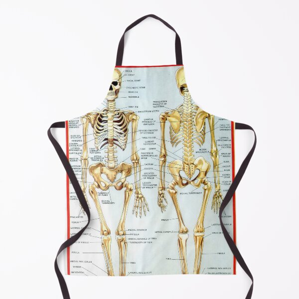 Item preview, Illustrated Chart From India - HUMAN SKELETON Rare Vintage High Quality designed and sold by VISIBLECREATION.