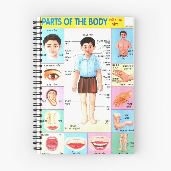 Item preview, Illustrated Chart From India - PARTS OF THE BODY Rare Vintage High Quality designed and sold by VISIBLECREATION.