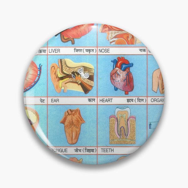 Item preview, Illustrated Chart From India - THE HUMAN BODY Rare Vintage High Quality designed and sold by VISIBLECREATION.