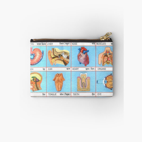 Item preview, Illustrated Chart From India - THE HUMAN BODY Rare Vintage High Quality designed and sold by VISIBLECREATION.