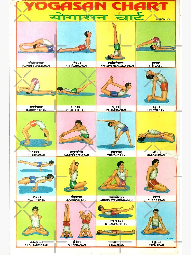 Hand Drawn Poster Of Hatha Yoga Poses And Their Names, Iyengar Yoga Asanas  Difficulty Levels 1-5 Royalty Free SVG, Cliparts, Vectors, and Stock  Illustration. Image 169653170.