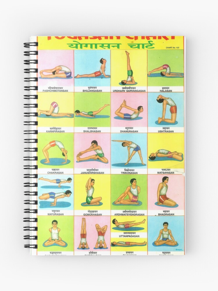 Yoga Poster Yoga Printable Chart Downloadable Yoga Poses and Their Names  Digital Files Printable - Etsy Israel