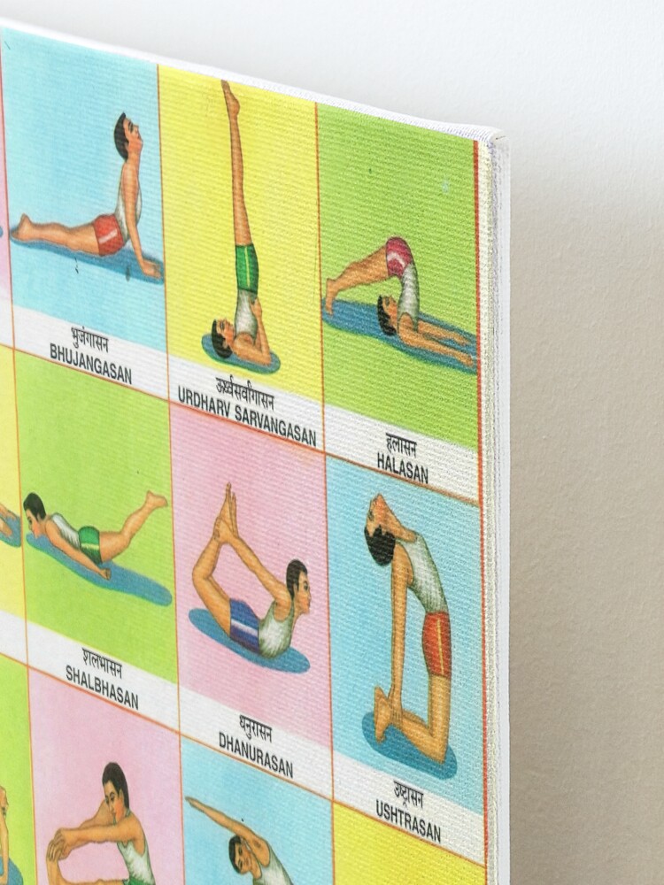 Buy spectrum Unisex Polypropylene Yogasana Chart 3 Seating Postures 2  Online at Low Prices in India - Amazon.in | Yoga photography, Yoga poses,  Prenatal yoga
