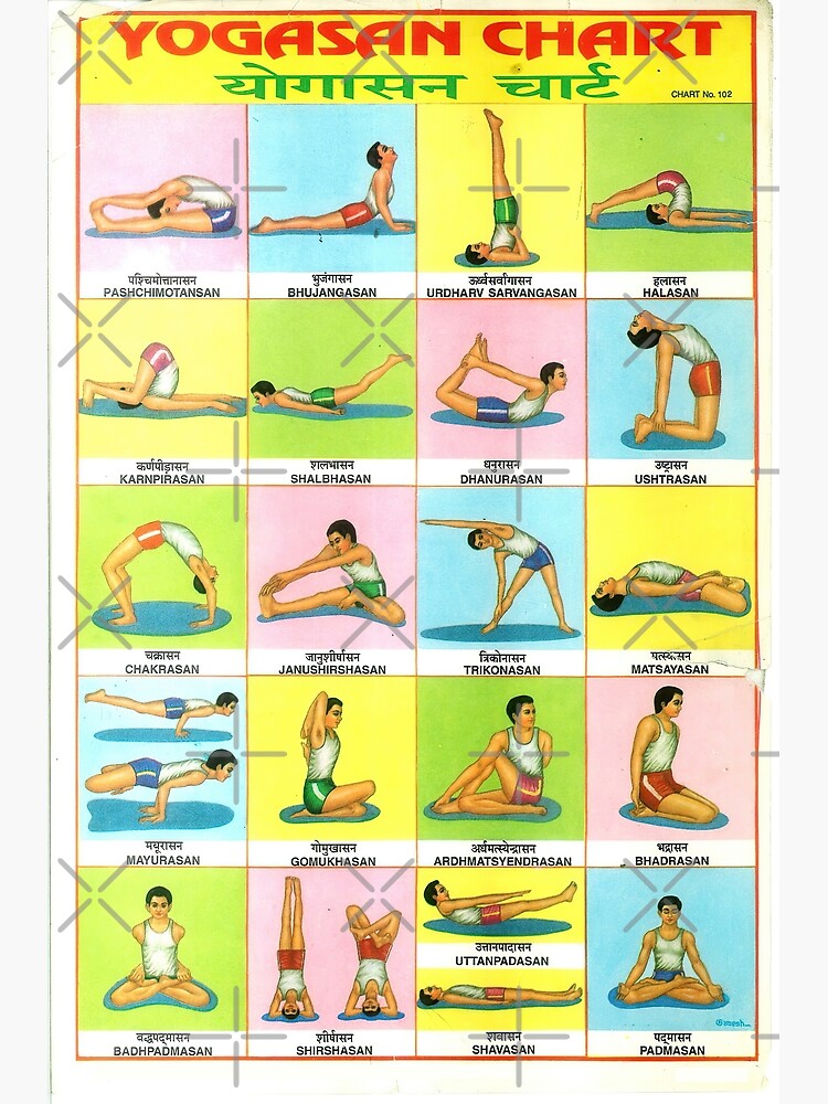 Barnes and Noble Hatha Yoga Poses Chart: 60 Common Yoga Poses and Their  Names - A Reference Guide to Yoga Asanas (Postures) 8.5 x 11