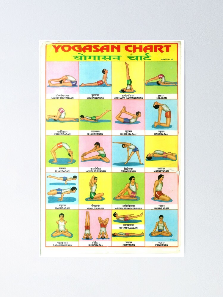 voorkoms 30.48 cm Yoga Poses Chart Educational Poster Yoga Wall Sticker  Chart/Learning Chart Removable Sticker Price in India - Buy voorkoms 30.48  cm Yoga Poses Chart Educational Poster Yoga Wall Sticker Chart/Learning